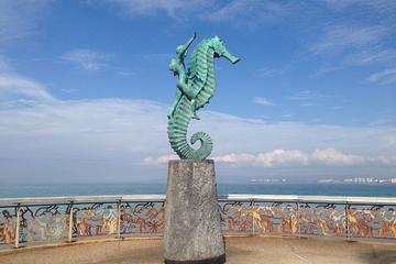 Puerto Vallarta City and Shopping Tour with Tequila Distillery