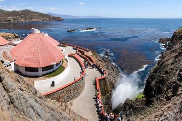 Vallartas Full Day Experience:Nature,tradition and virgin beaches
