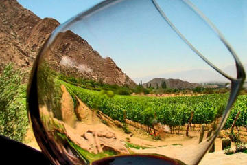 Valle de Guadalupe Wine Tasting