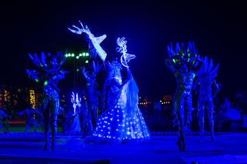 Wirikuta show & dinner experience