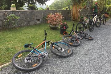 A guided cycling tour to Hunas Falls through Tea Plantation