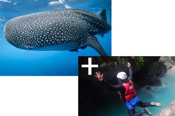 Full day Canyoning and Whaleshark Adventure