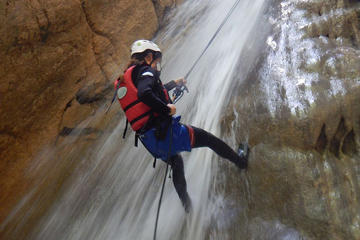 Rappelling Adventure from Moalboal area