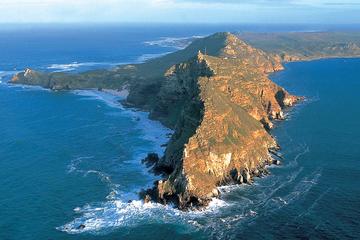 Cape Point and Boulder's Beach Penguins Tour from Cape Town