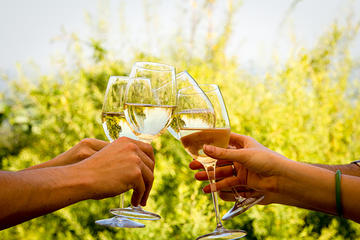 Franschhoek and Stellenbosch Wine Tour from Cape Town
