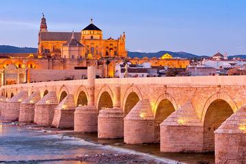 Cordoba Day Trip from Malaga