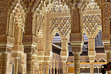 Private 3-hour Tour to Alhambra