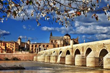 Private Old Cordoba walking tourord