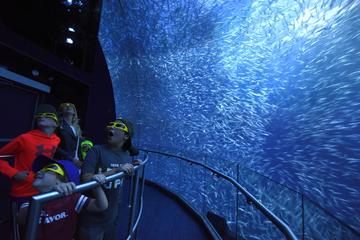 National Geographic Encounter: Ocean Odyssey Admission