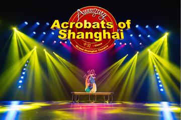 Amazing Acrobats of Shanghai
