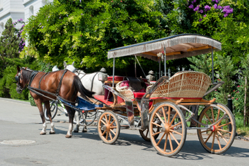 Excursão às ilhas dos Príncipes partindo de Istambul: Büyükada