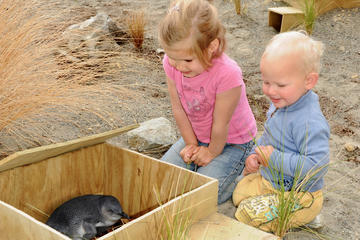 Up Close Encounter of Amazing New Zealand Creatures and Behind the Scenes Tour
