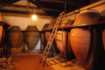 Excursion d'une journée avec dégustation de vins en petit groupe au...