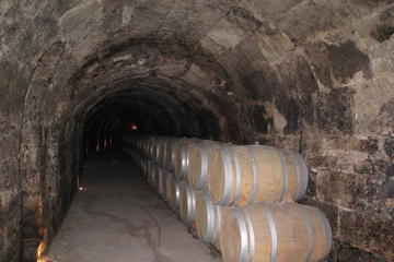 Guided Wine Day Tour to Ribera del Duero from Madrid