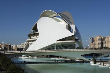 Palau de les Arts Reina Sofia Valencia Admission Ticket