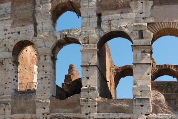 2-in-1: Colosseum and Wine Tasting