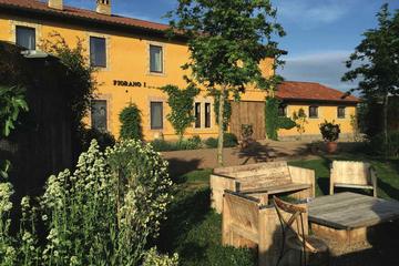 Excursão particular: almoço e degustação de vinhos em uma vinha romana