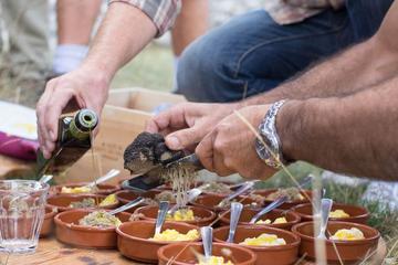 Small-Group Truffle-Hunting Day Trip