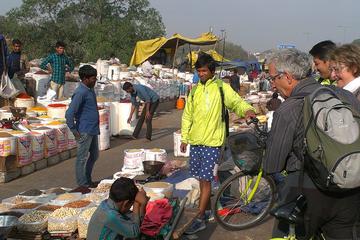 Old Delhi by bicycle and New Delhi by car - Guided Tour