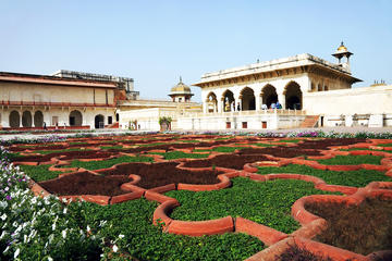 Private Agra Day Tour with Culture Walk