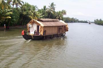 Private Backwater Cruise on a Houseboat and Shikara including Lunch