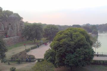 Private Delhi Heritage and Urban Village Walk at Hauz Khas Village