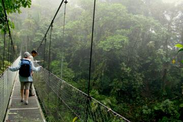 Arenal Hanging Bridges Tour