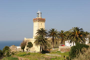 Day Tour to the Ancient Roman City of Lixus Via Asilah from Tangier
