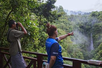 Bird Watching AMA
