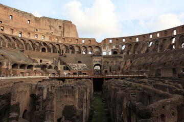 Skip the Line: Colosseum Roman Forum and Palatine Hill Elite Tour