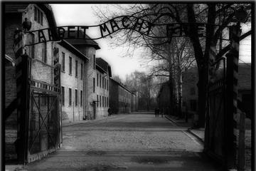 Auschwitz & Birkenau Tour with private transport