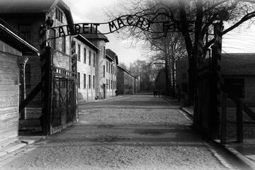 Auschwitz and Birkenau without guide private transport from Kraków