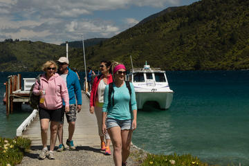 Marlborough Sounds Cruise & 3 hour Scenic Walk