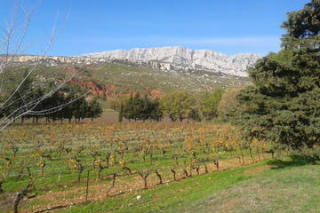 Cotes de Provence Wine Tour from Aix-en-Provence