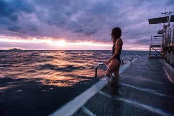 2-Day Great Barrier Reef by Catamaran from Cairns with Activity Upgrades