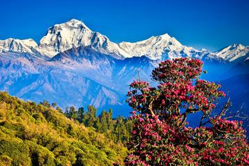 Poonhill Trek with Kathmandu and Pokhara Tour