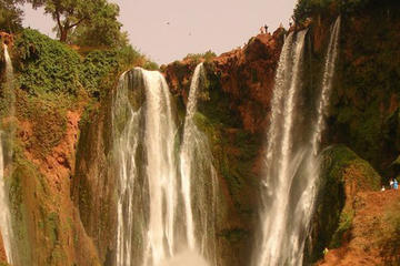 1 day to ouzoud waterfalls graved Feet of dinosaurs & ImiNifri Bridge
