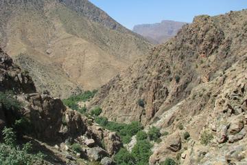 Day trip to Atlas mountains & berber houses