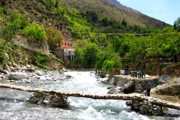 Day Trip to Atlas Mountains, Takerkoust Lake and Kik Plateau From Marrakech