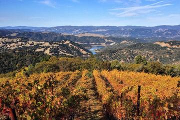3-day Tour to Muir Woods, Napa Valley, and Sonoma County from San Francisco