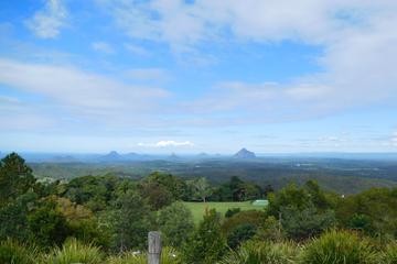 Maleny Sunshine Coast Hinterland & Beautiful Beaches Full Day Tour from Brisbane