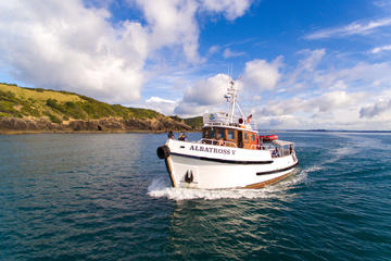 Explore the Bay of Islands Scenic Cruise from Russell