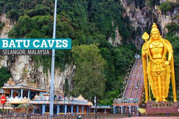 City Tour with Batu Cave and Fireflies Private Tour