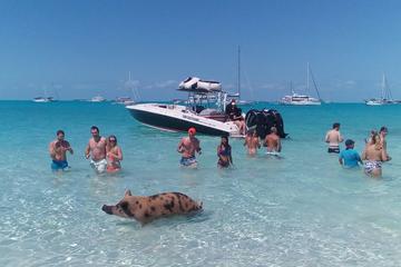 Full Day Small Group Tour to Pig Beach by Power Boat