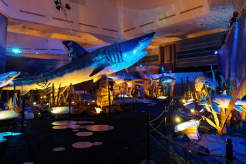 Science Centre Singapore Admission Ticket