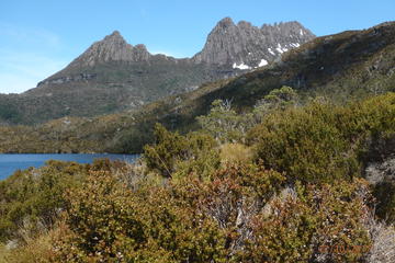 Cradle Mountain Sunrise Park Explorer