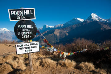 Poon Hill Trek
