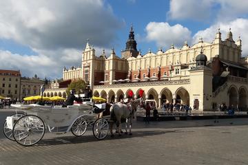 The Best Krakow One Day Tour from Warsaw by private car