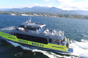 Recorrido por lo mejor de Victoria: avistamiento de ballenas...