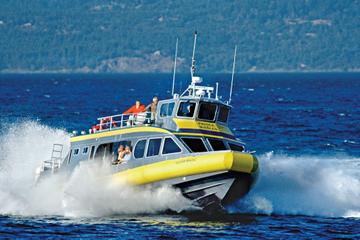 Whale-Watching Cruise from Vancouver to Victoria